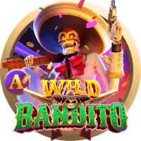 Wild Đạo Tặc game cover
